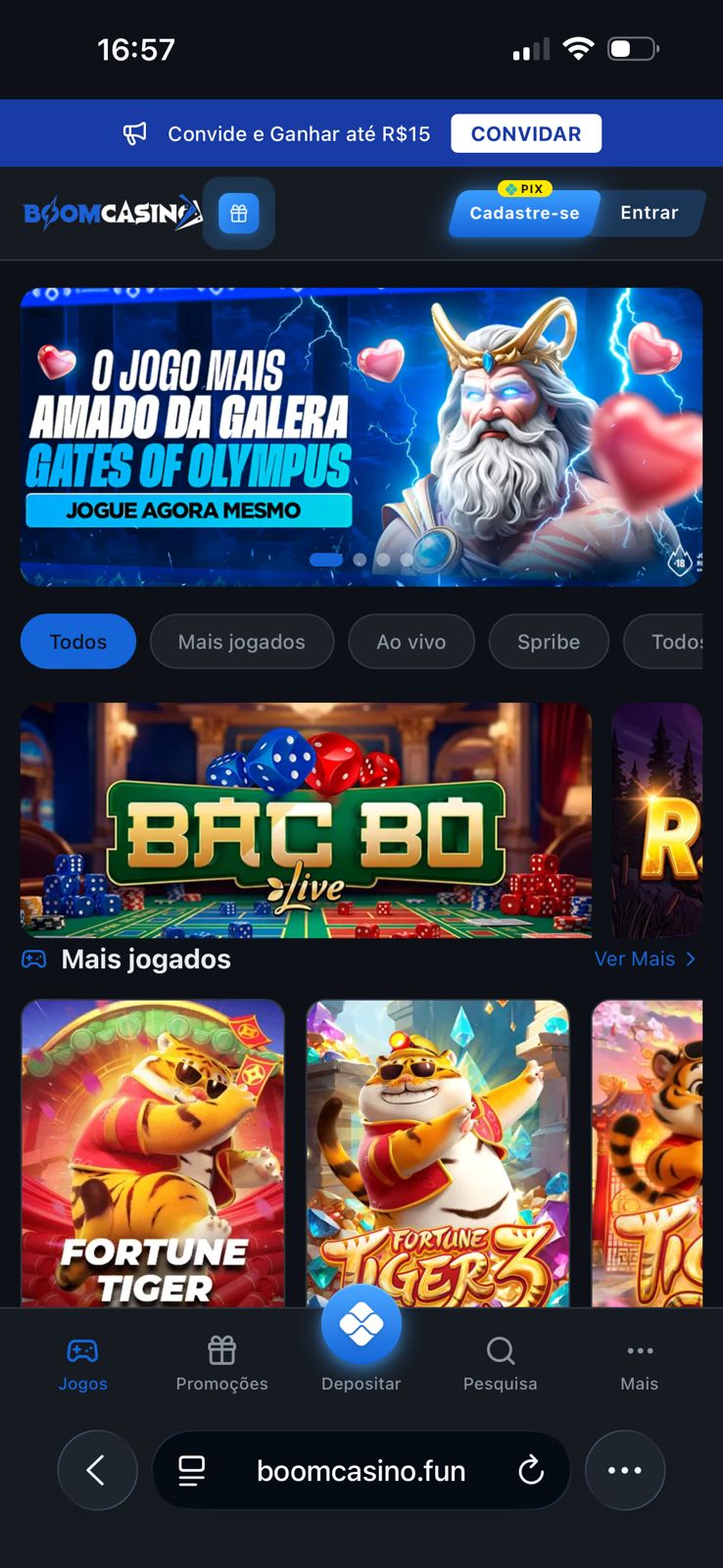 Preview do Layout Brasileiro